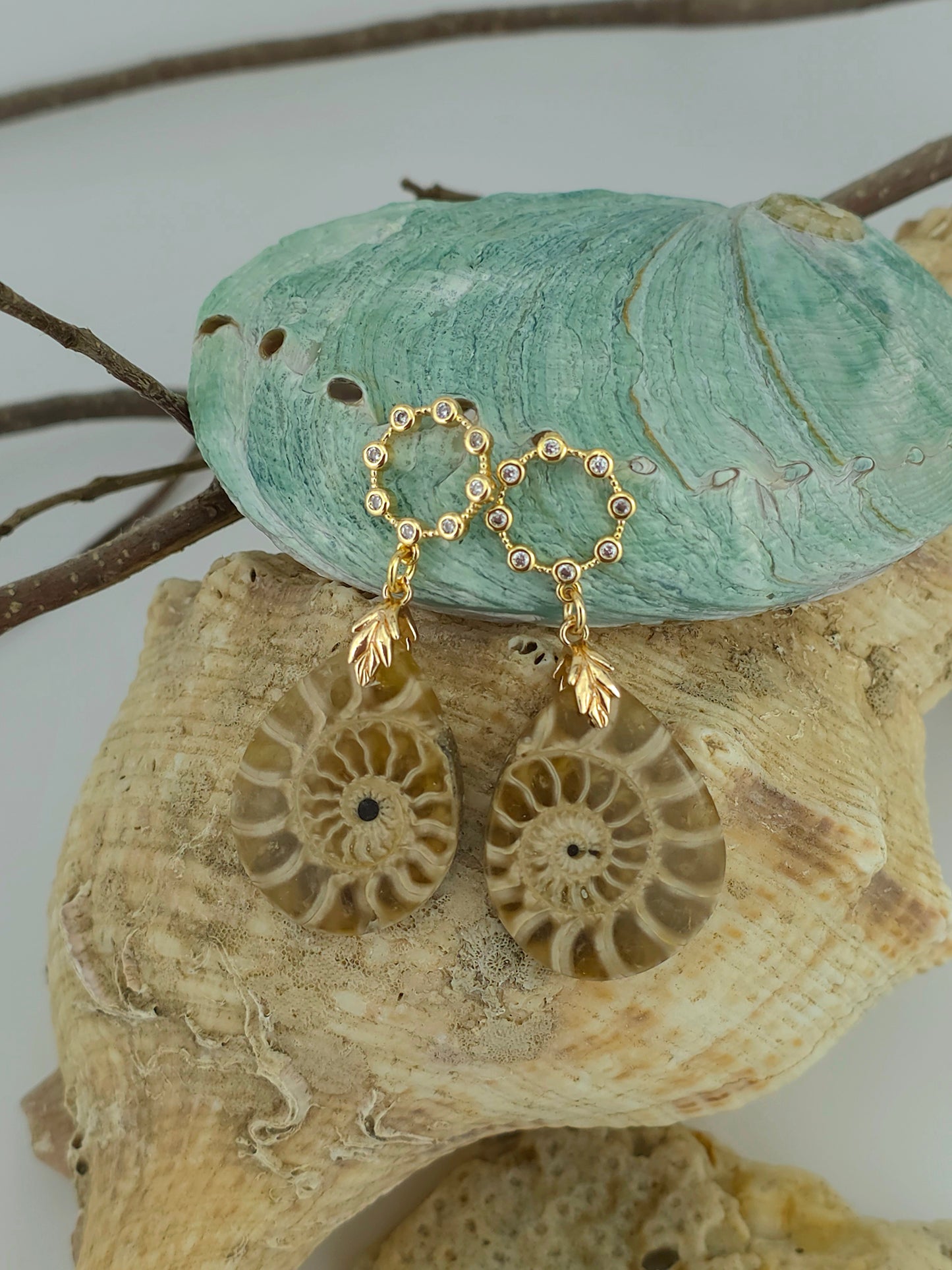 Genuine Ammonite /Halo zc studs