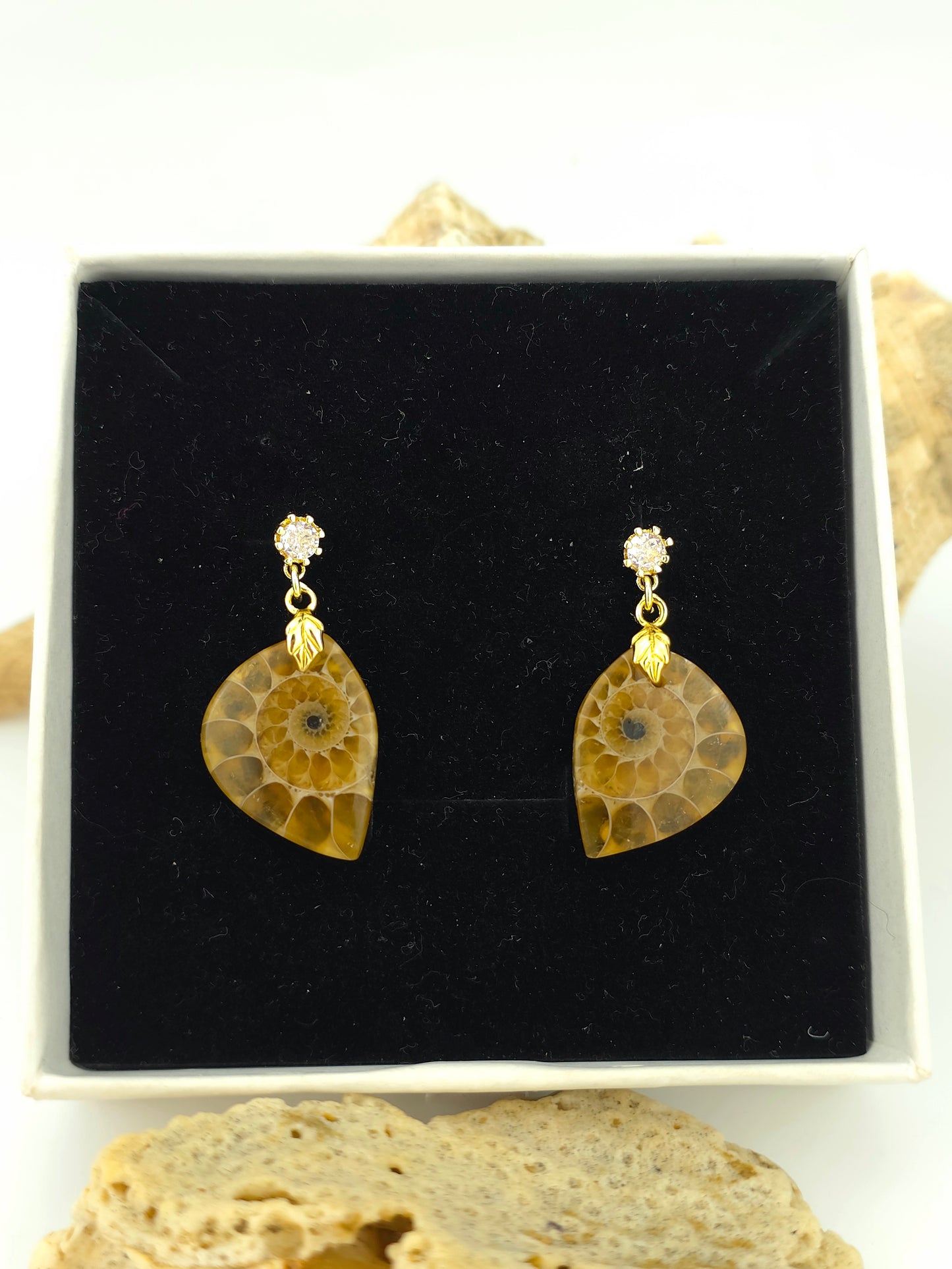 Elegant organic Ammonite