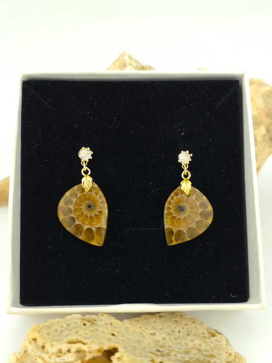Elegant organic Ammonite